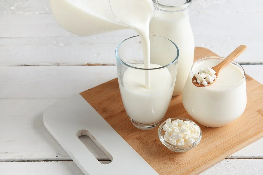 Fermented dairy products